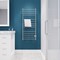 Anzzi Elgon 14Bar Stainless Steel Wall Mounted Towel Warmer Rack with Polished Chrome Finish TW-WM105CH - alternate 7